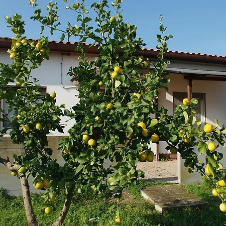 Tatil Evi Torre San Rocco *