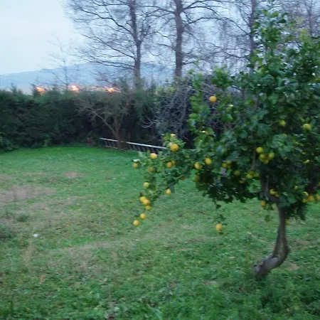 Torre San Rocco * Scerne